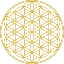 Photo de Inès Witter Photo de Inès Witter